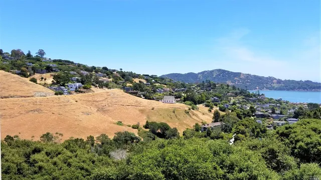 a view of a dry yard