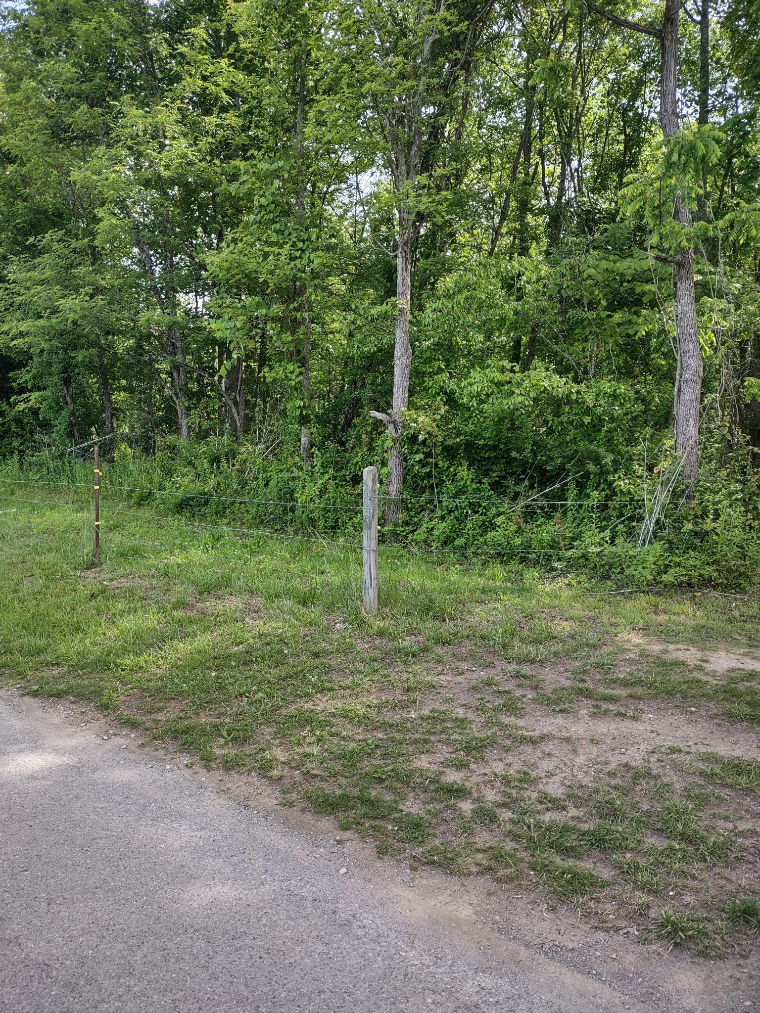 689 Stone Door Road Beersheba Springs, TN 37305 - Photo 2 of 15 Gallery Image 2
