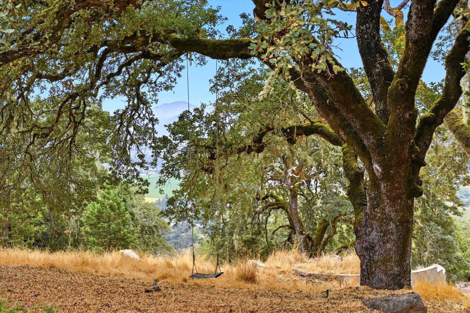 31000 Pine Mountain Road Cloverdale, CA 95425 - Photo 59 of 64