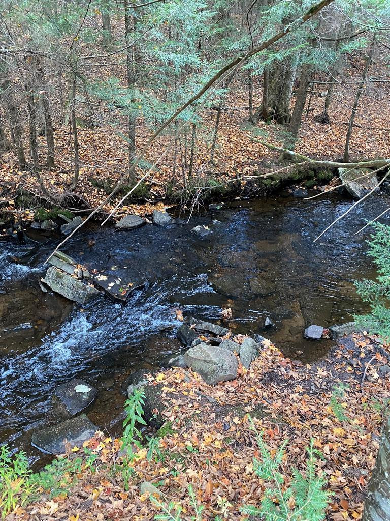2354 Rand Hill Road Altona, NY 12910 - Photo 14 of 15 Gallery Image 14