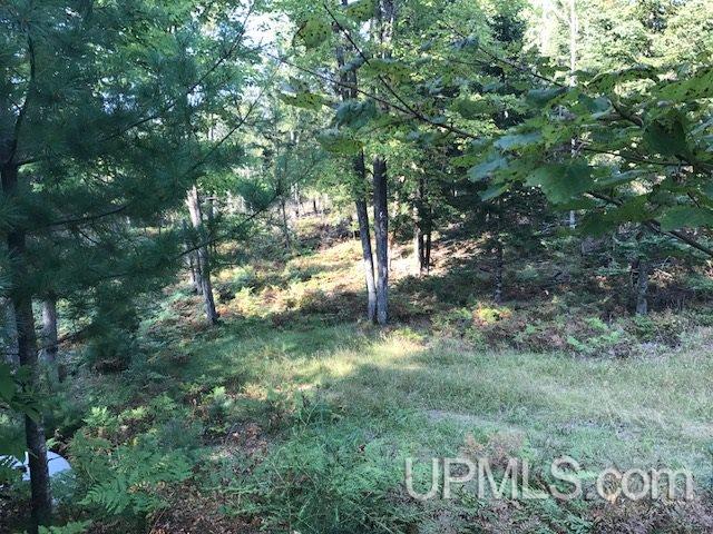7620 30.5 Road Rapid River, MI 49878 - Photo 30 of 36