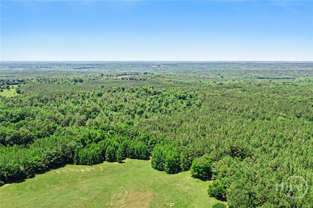 X0-x0 Court Ground Road Rayle, GA 30660 - Photo 10 of 15