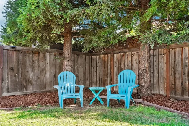a view of a backyard with a garden and plants