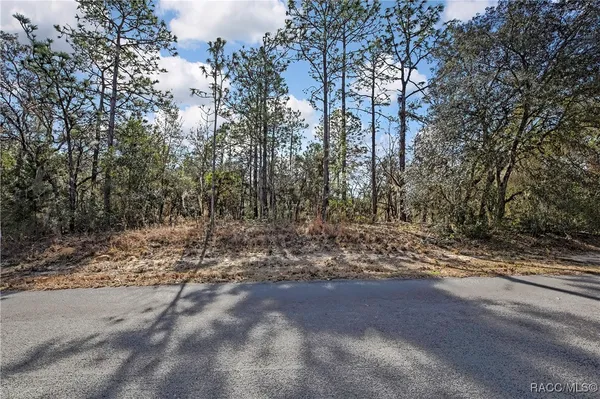 $52,000 | 3921 North Longvalley Road, Hernando, FL 34442