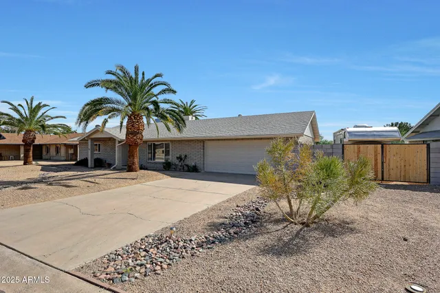 a palm tree sitting in front of a house with a yard