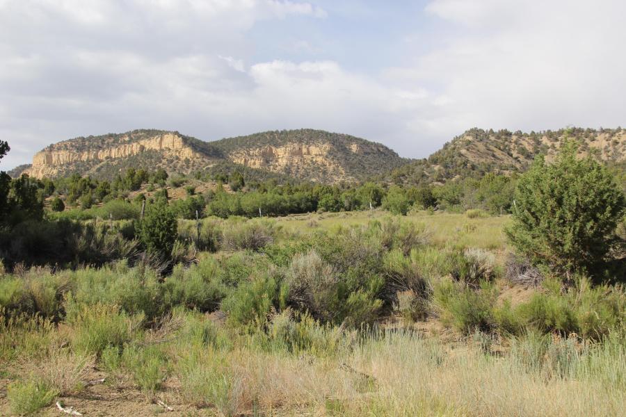 Mineral Springs Road Kanab, UT 84741 - Photo 28 of 51 29