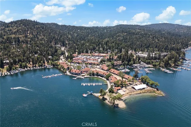 a view of a city with lake