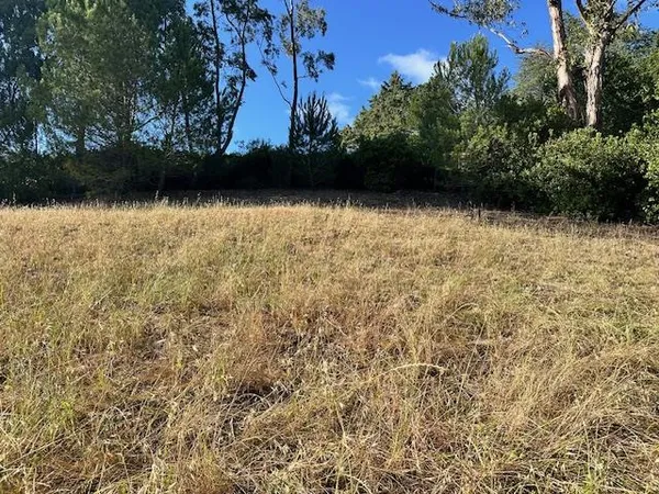 a view of room with a yard