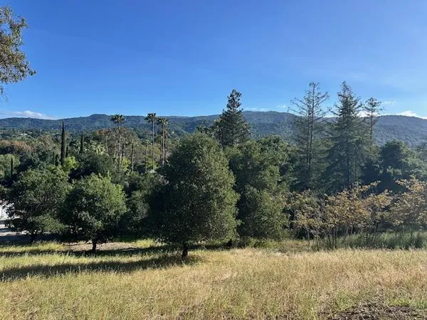 a view of a lake in middle of forest