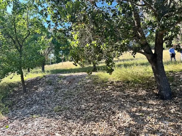 a backyard of a house with a yard and large trees