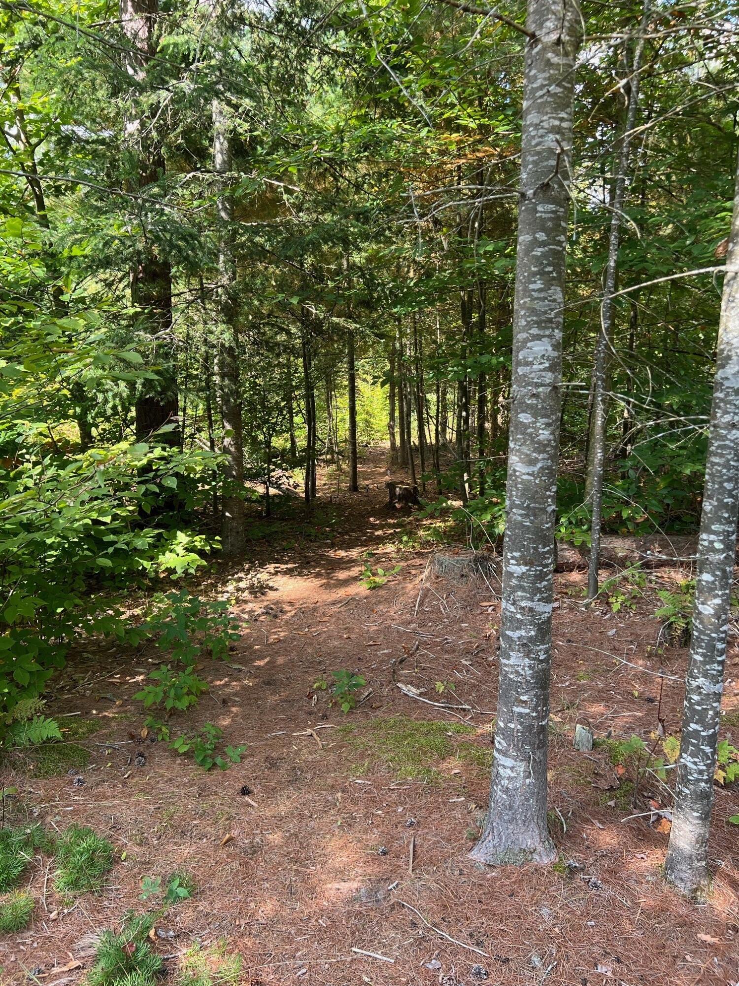 0 Pond Road Malone, NY 12953 - Photo 7 of 13 Gallery Image 7