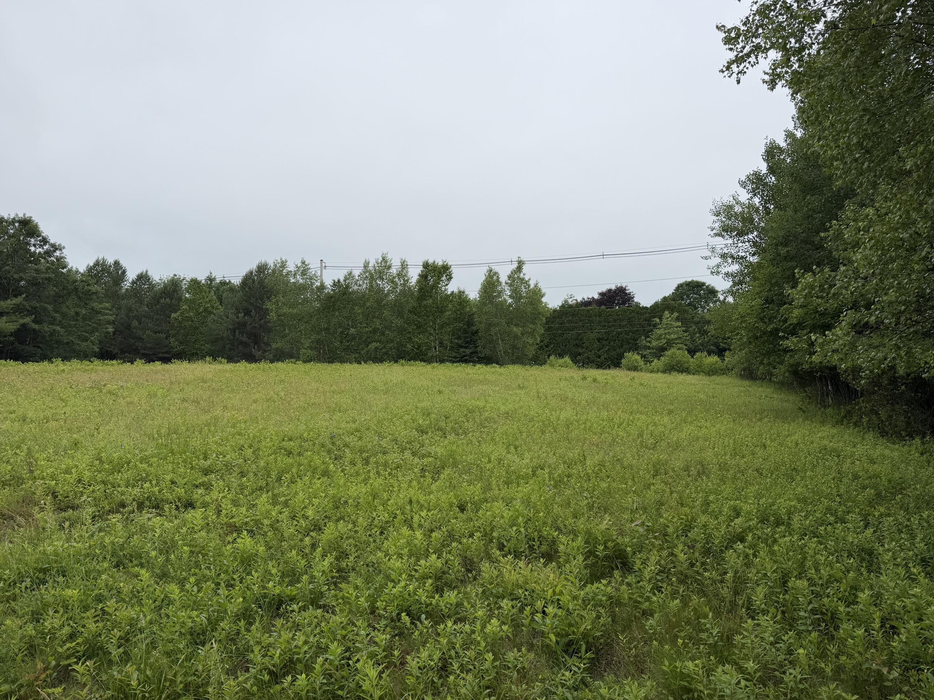 0 Ellsworth Road Blue Hill, ME 04614 - Photo 3 of 3 IMG_2187