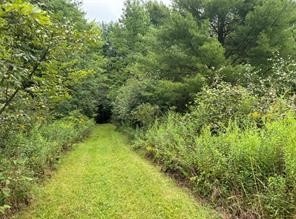 10053 Browntown Road Lindley, NY 14858 - Photo 3 of 13