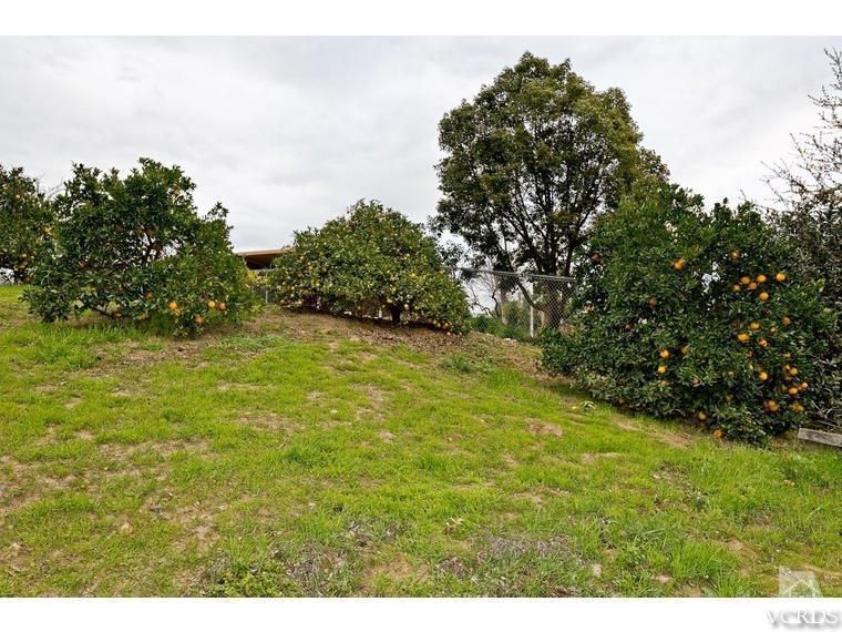 1145 Rambling Road Simi Valley, CA 93065 - Photo 26 of 30 a view of a yard with a tree