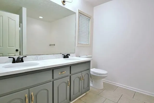 a bathroom with a sink and a toilet