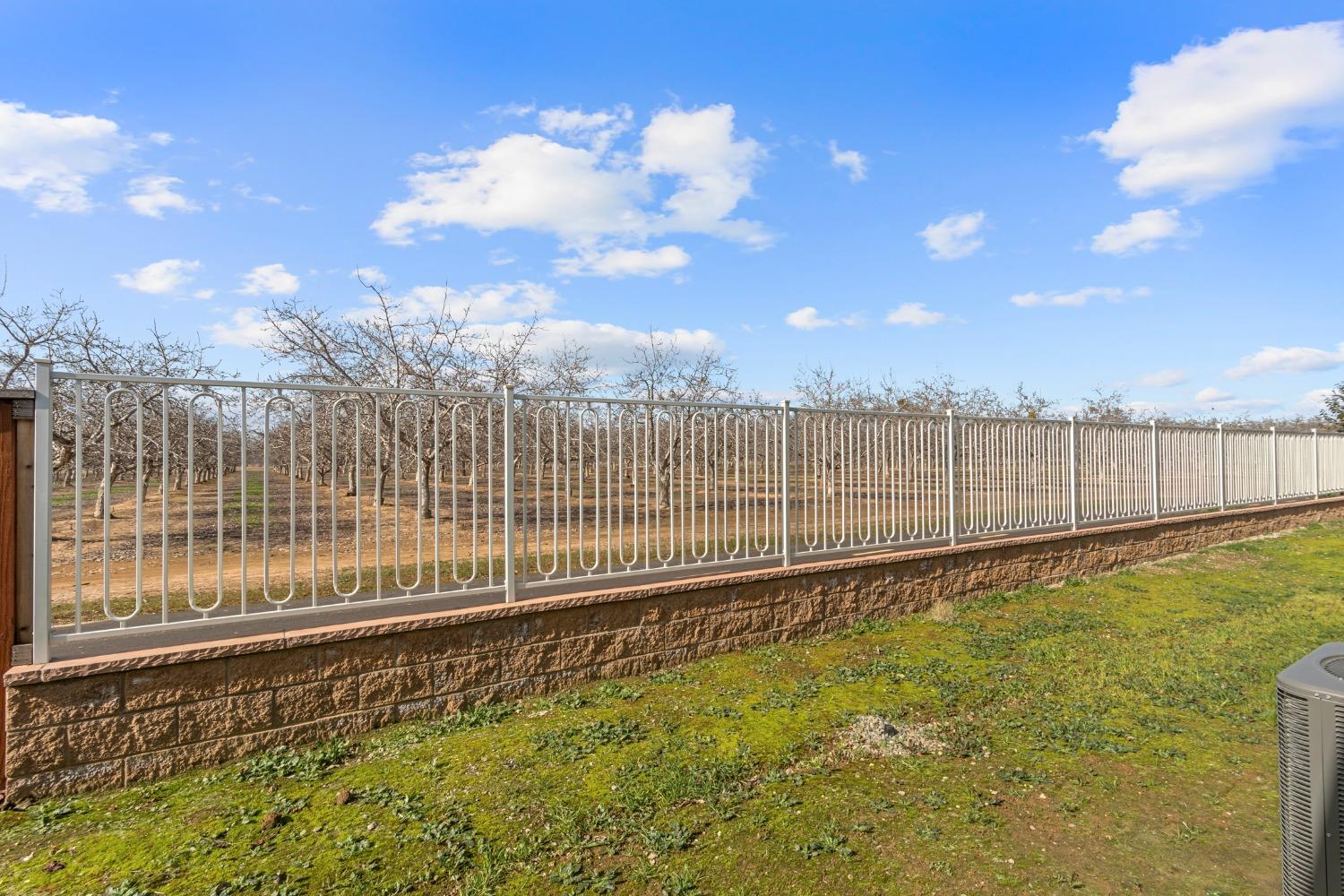 1727 Dos Rios Court Plumas Lake, CA 95961 - Photo 35 of 43 a view of a garden with a staircase
