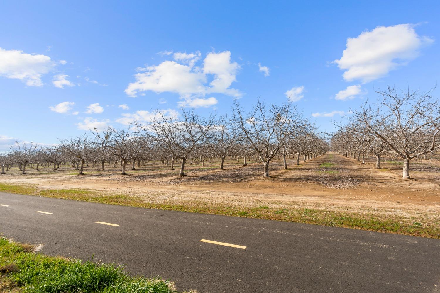 1727 Dos Rios Court Plumas Lake, CA 95961 - Photo 37 of 43 a view of a yard with a house