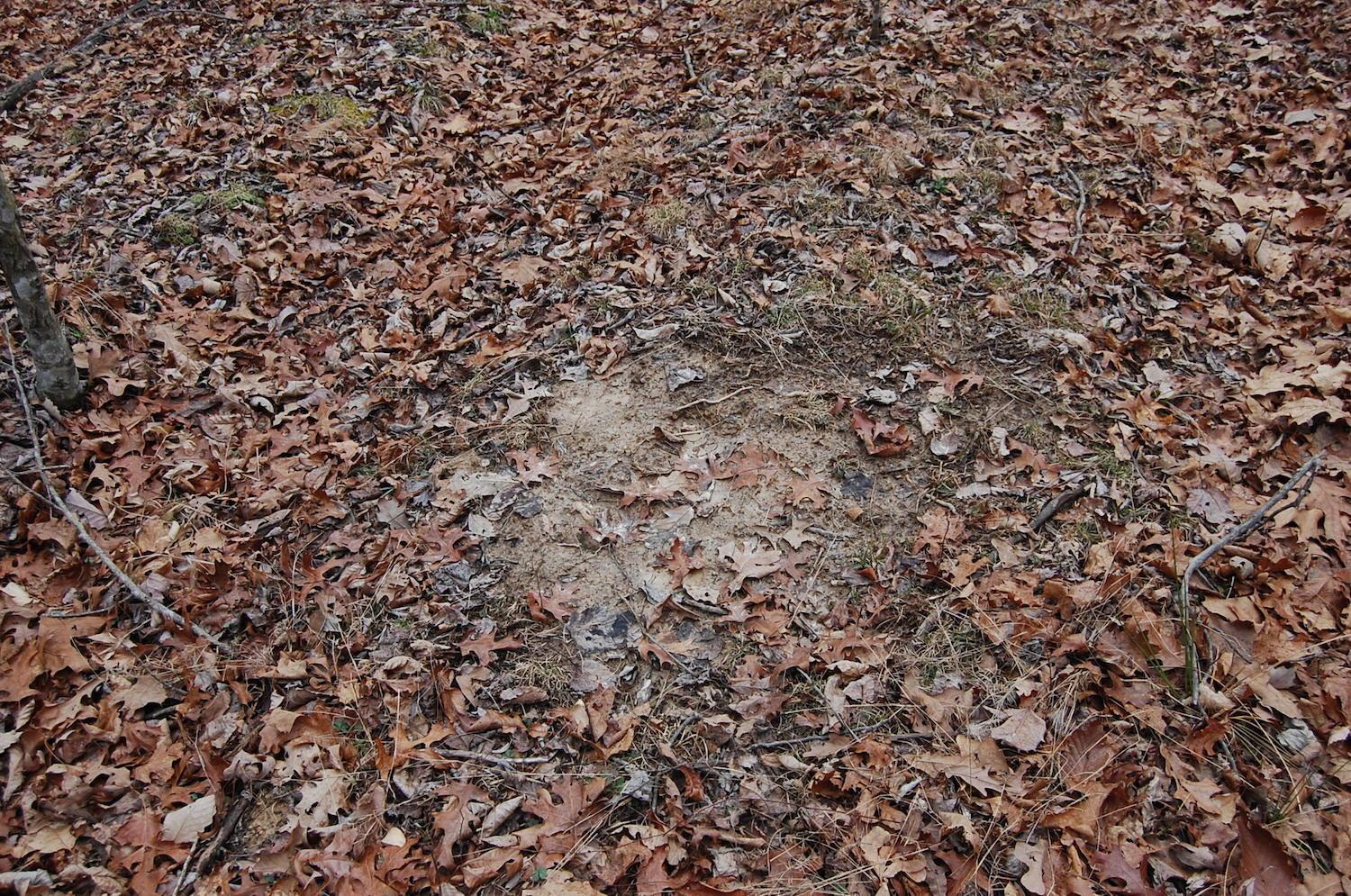 0 Carpenter Road Oak Hill, OH 45656 - Photo 25 of 34