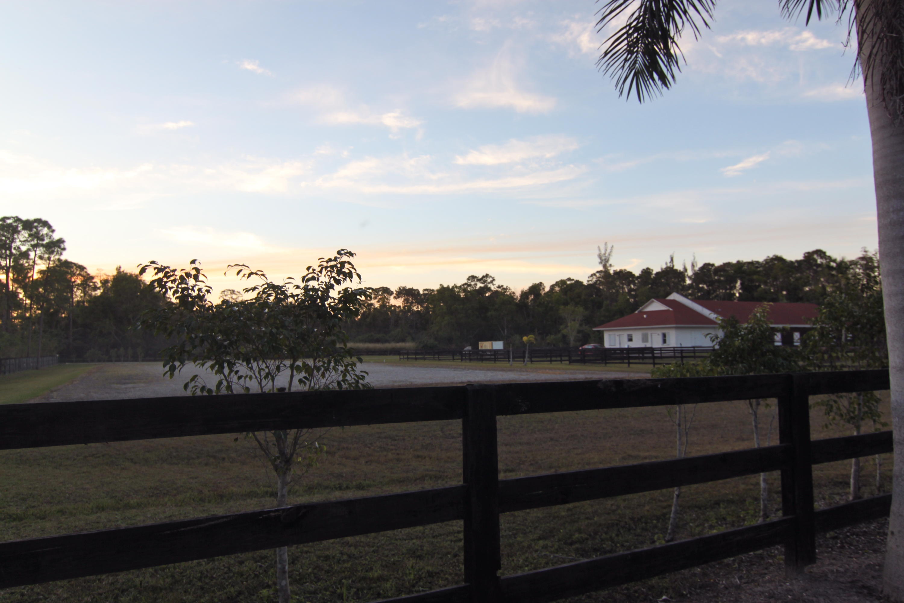 12981 Casey Road Loxahatchee, FL 33470 - Photo 37 of 86 Dressage Arena