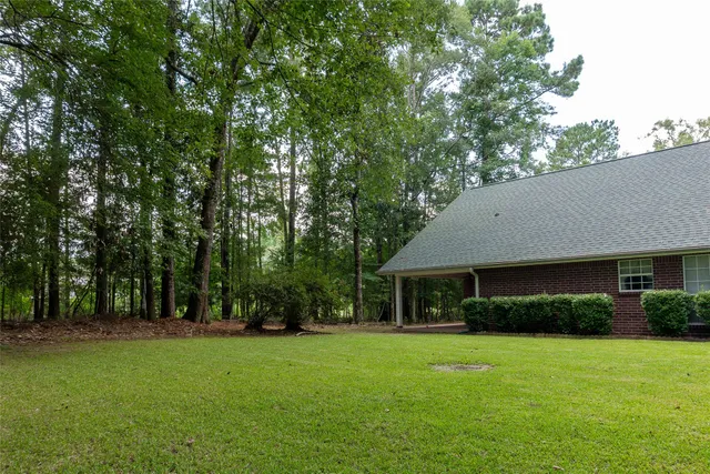 a view of a backyard with a large tree
