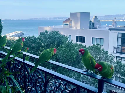 $1,495,000 | 1407 Montgomery Street, Unit 2, San Francisco, CA 94133