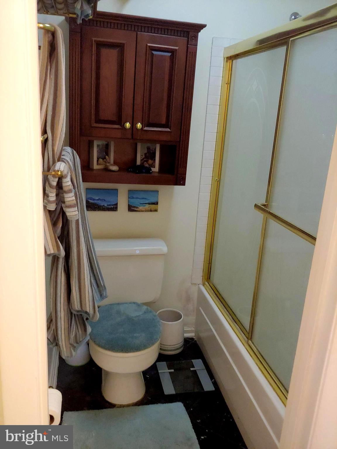 23 E Hamill Road, Unit 23E Baltimore, MD 21210 - Photo 8 of 11 Primary Bath