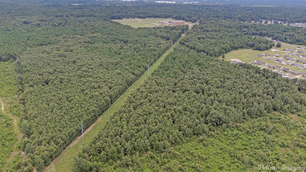 0 David Raines Road Shreveport, LA 71107 - Photo 11 of 17 a view of a pathway with a yard