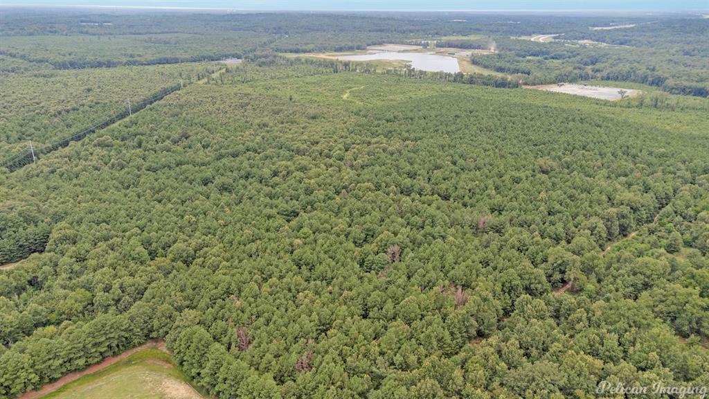 0 David Raines Road Shreveport, LA 71107 - Photo 12 of 17 a view of a field with an outdoor space