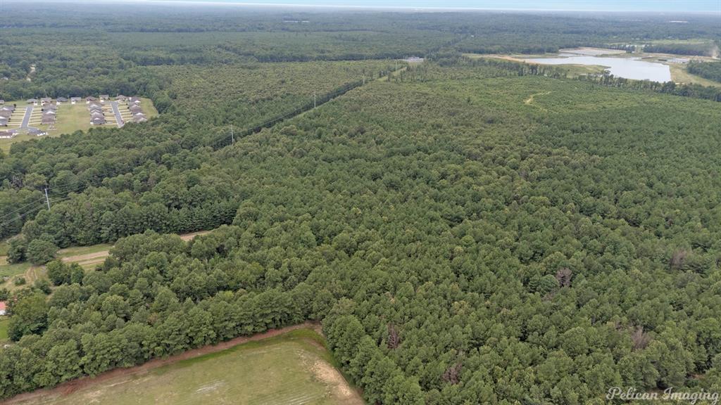 0 David Raines Road Shreveport, LA 71107 - Photo 13 of 17 a view of a field with an ocean view