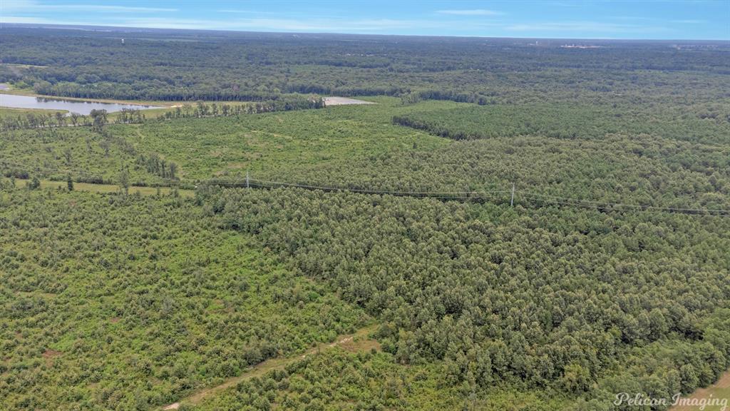 0 David Raines Road Shreveport, LA 71107 - Photo 5 of 17 a view of a field with an ocean view