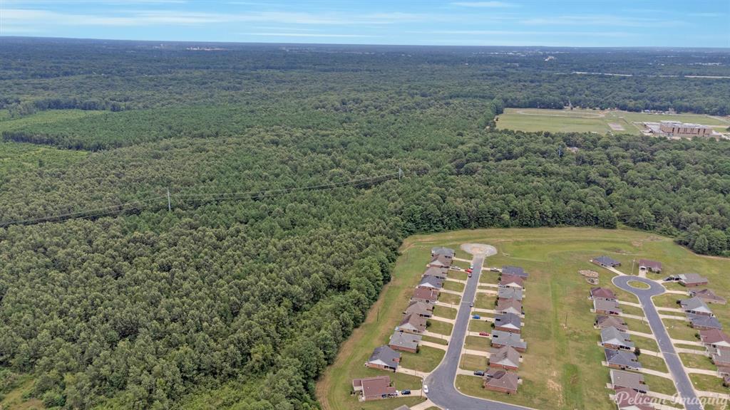 0 David Raines Road Shreveport, LA 71107 - Photo 6 of 17 a view of a yard with an outdoor space