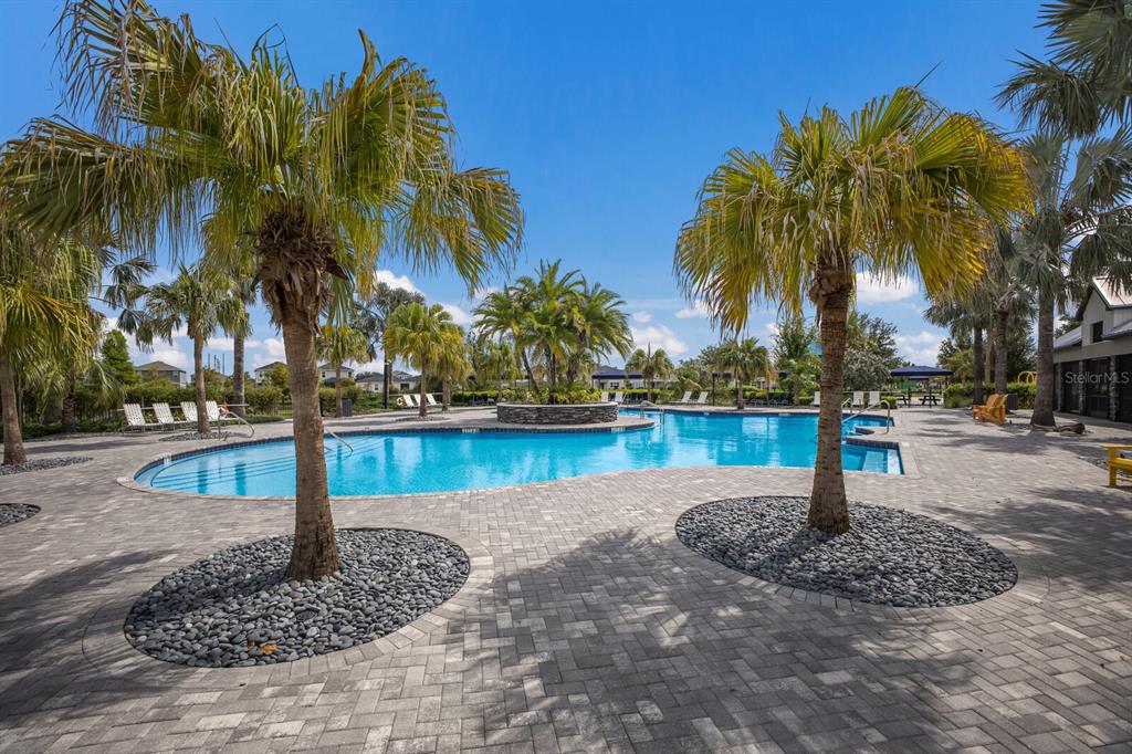 8985 Royal River Circle Parrish, FL 34219 - Photo 31 of 71 a swimming pool with palm trees