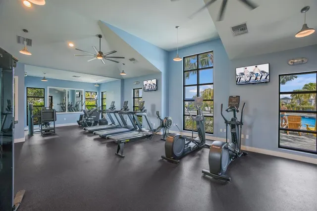 a view of road with palm trees