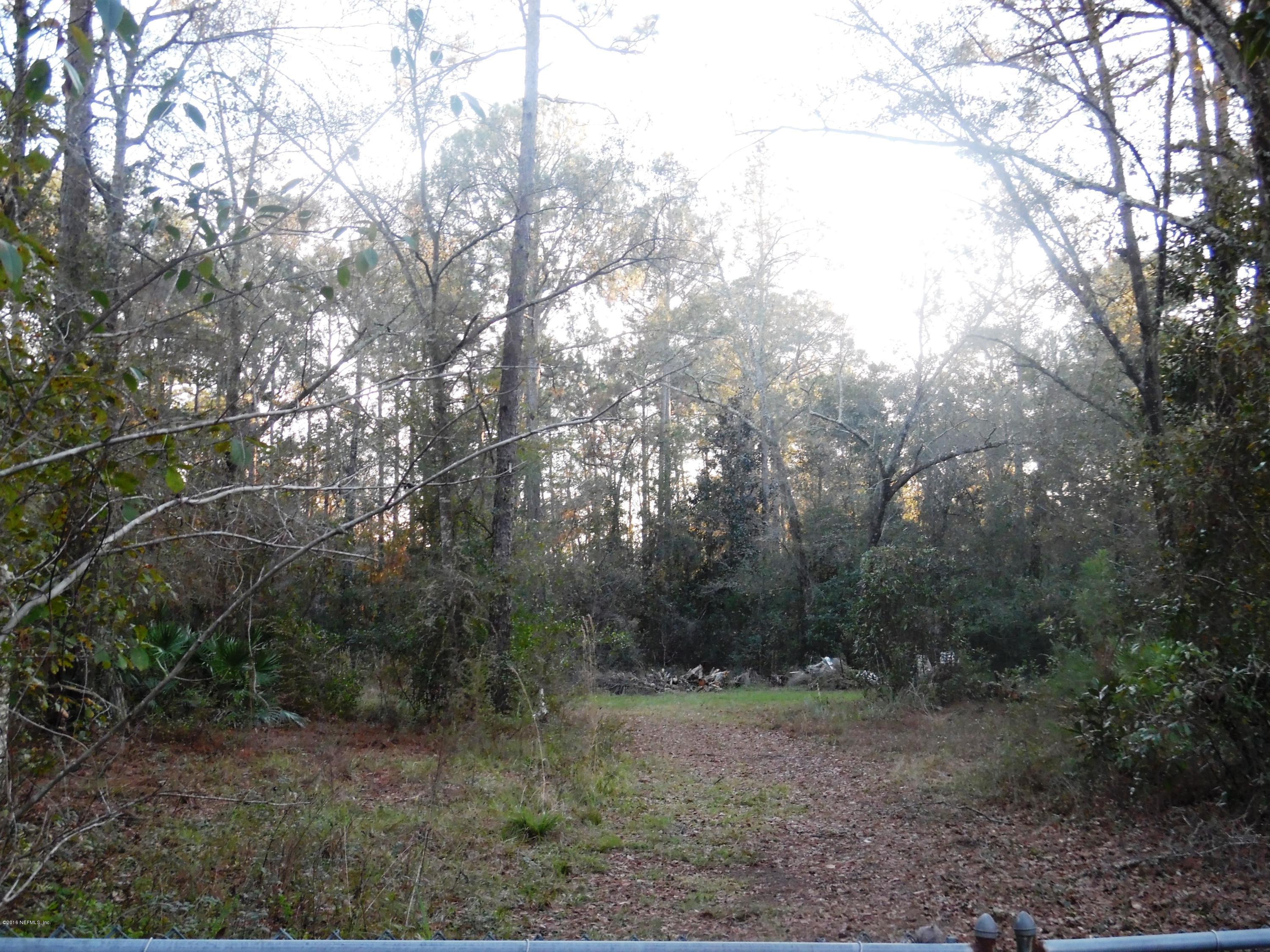 8456 Feldman Road Jacksonville, FL 32244 - Photo 16 of 18 Your land beyond the fence