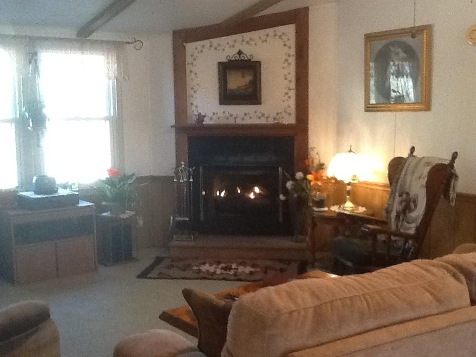 New Gas Logs...so cozy
