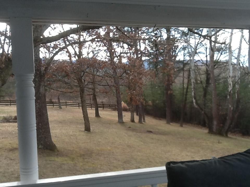 687 Longfield Road Fincastle, VA 24090 - Photo 8 of 12 Peaceful and Private