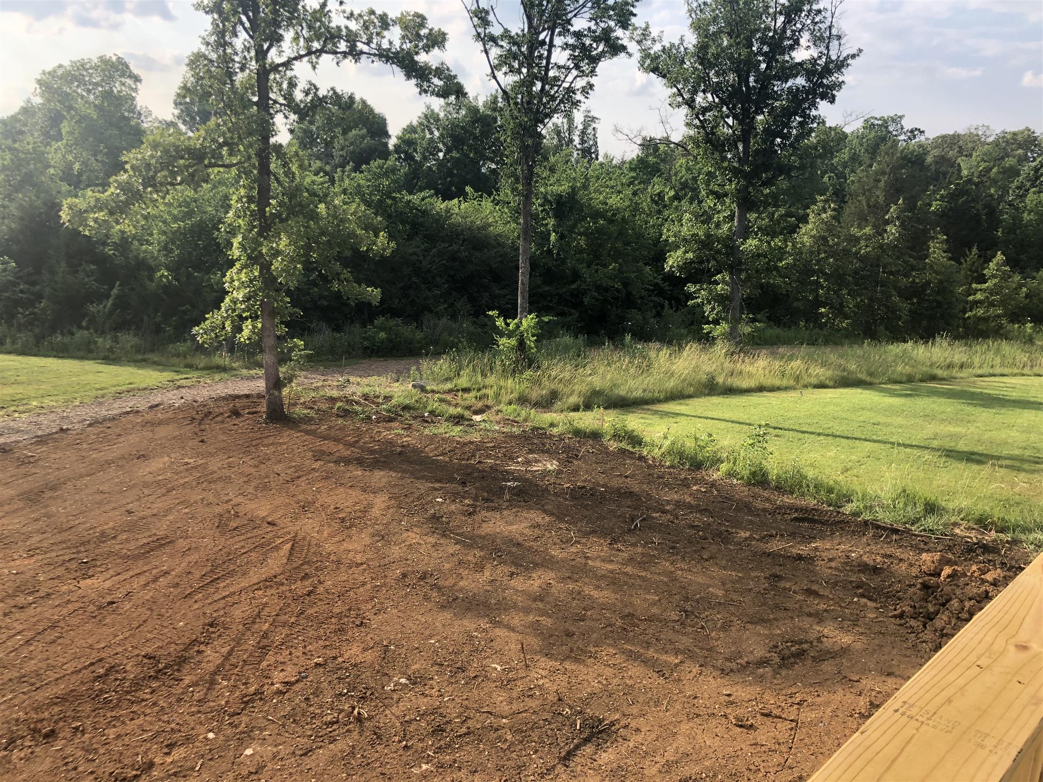 1102 Batbriar Road, Unit 1 Murfreesboro, TN 37128 - Photo 10 of 26 Common Space View from backyard