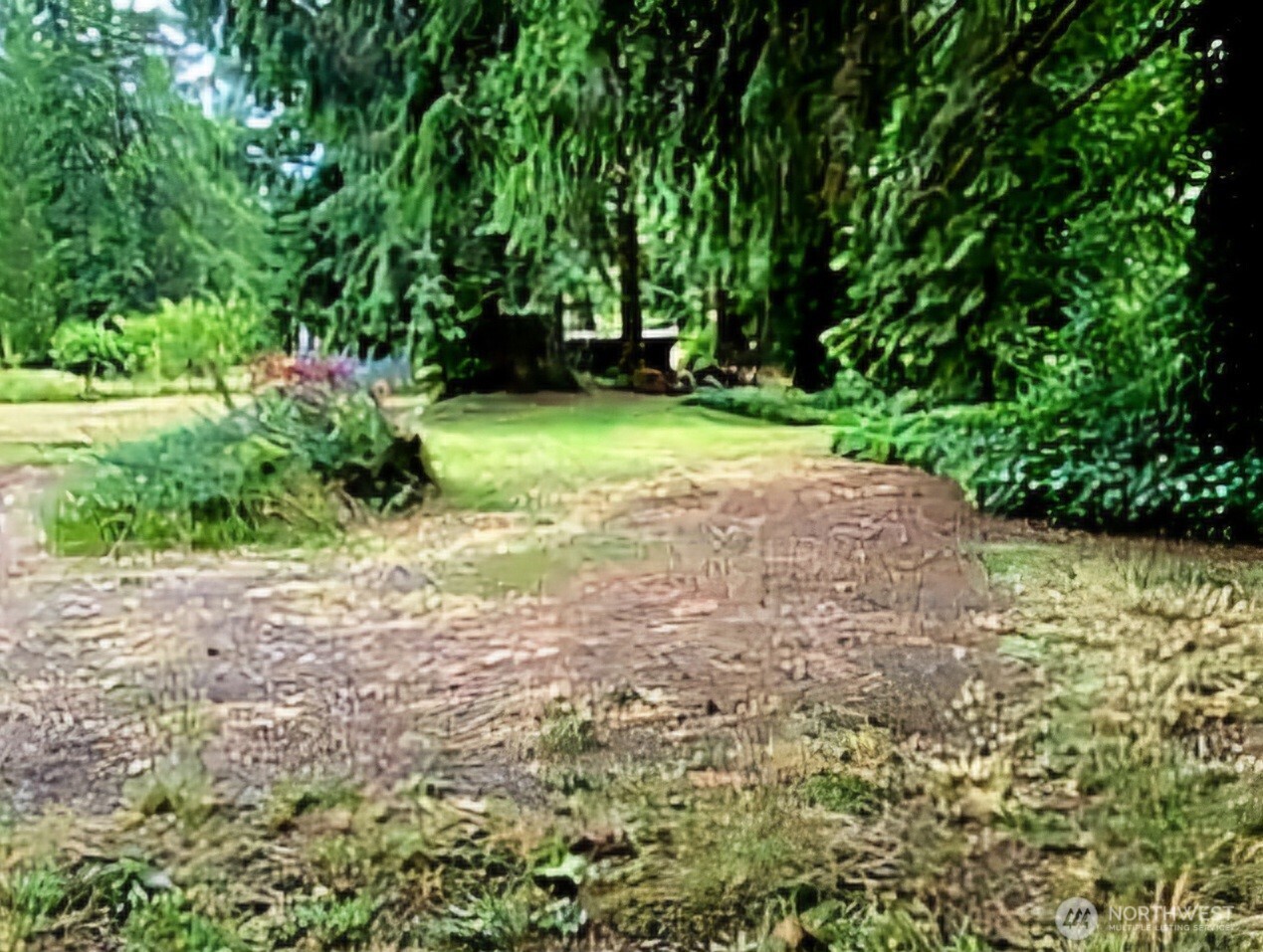 55 Church Road McCleary, WA 98557 - Photo 31 of 40 a view of yard with green space