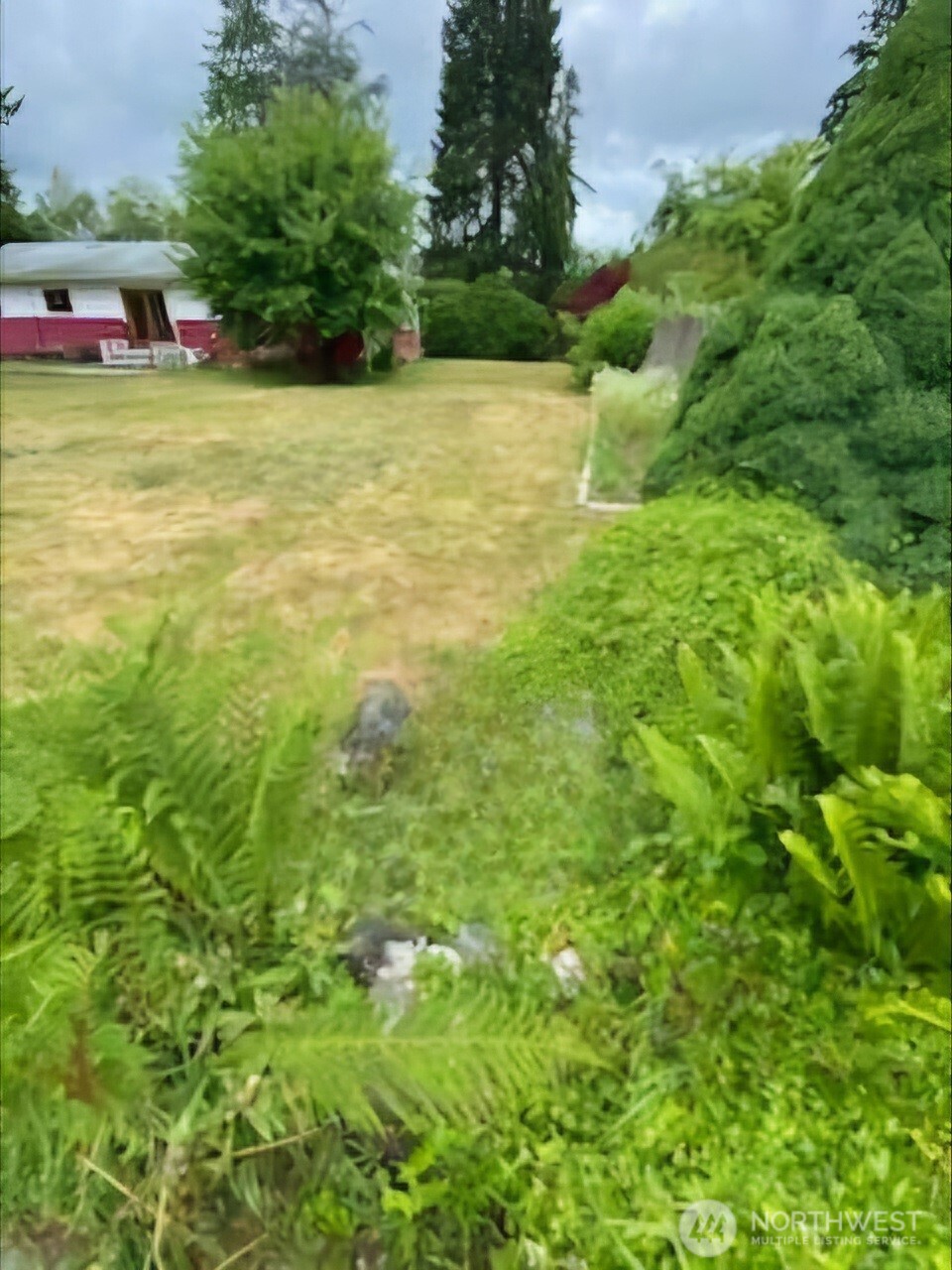 55 Church Road McCleary, WA 98557 - Photo 37 of 40 a view of a garden with flowers