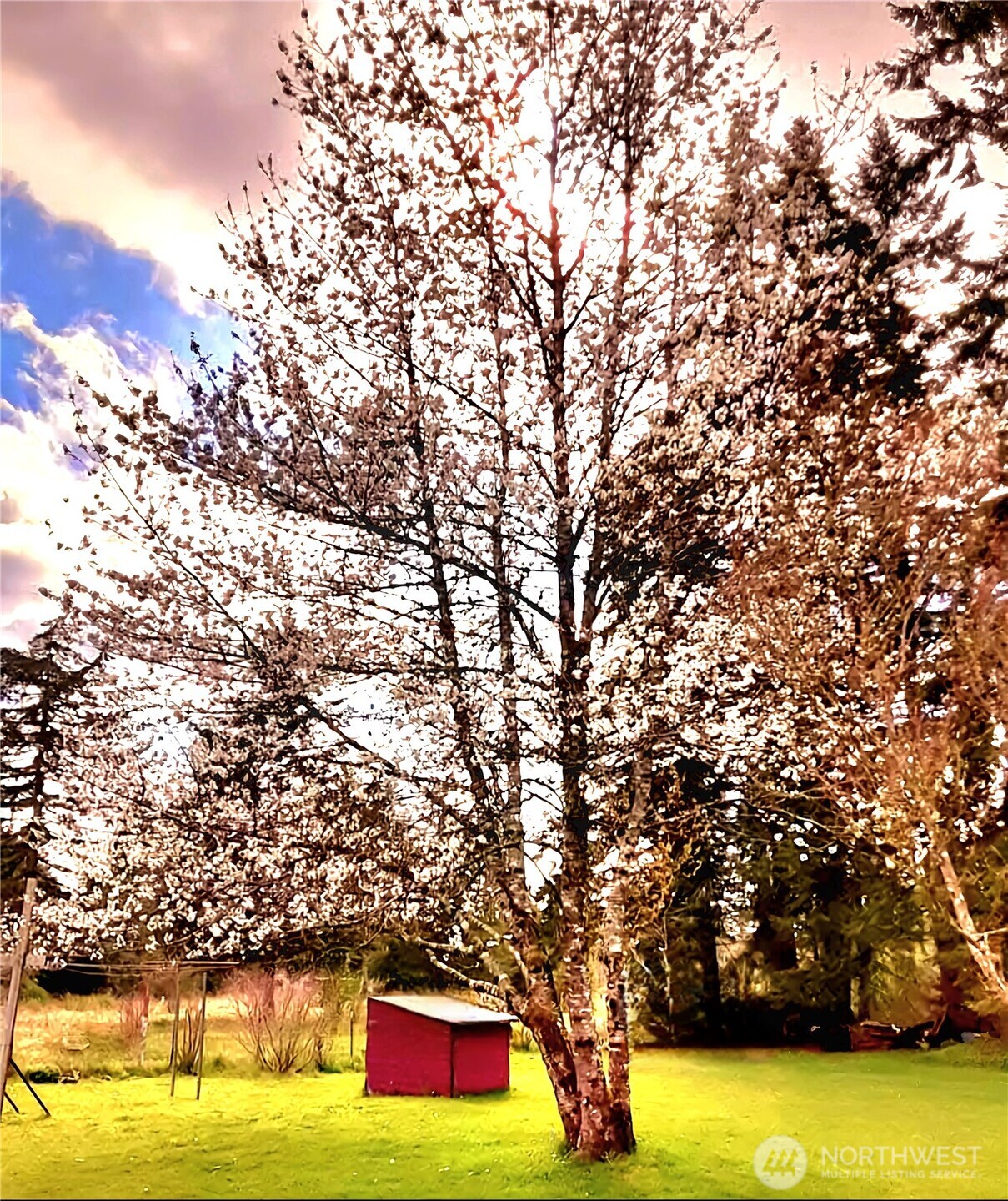 55 Church Road McCleary, WA 98557 - Photo 39 of 40 a view of swimming pool with an outdoor space and seating area