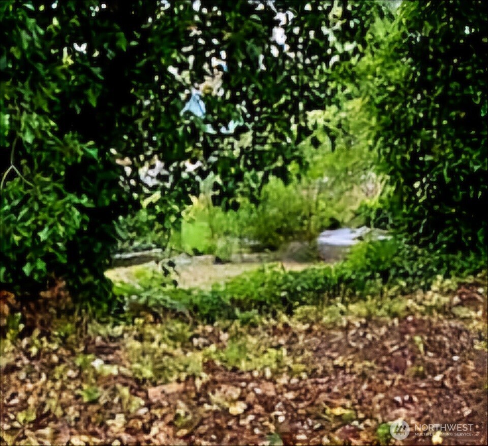 55 Church Road McCleary, WA 98557 - Photo 40 of 40 a view of a lush green space