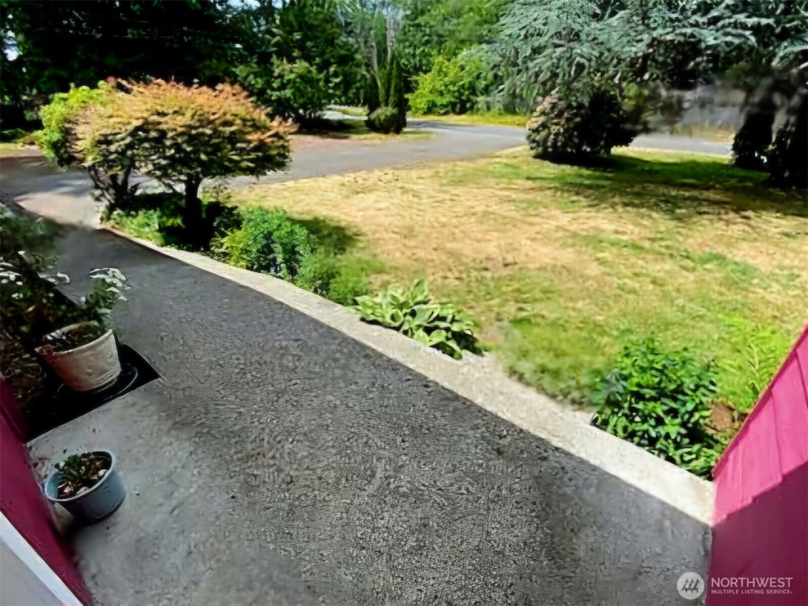 55 Church Road McCleary, WA 98557 - Photo 4 of 40 a view of a garden with plants