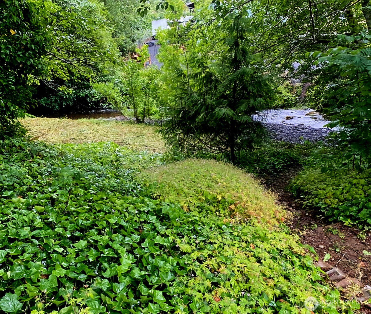 55 Church Road McCleary, WA 98557 - Photo 7 of 40 a view of a large yard with lots of green space and plants