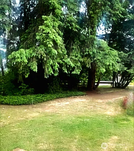 a backyard of a house with lots of green space