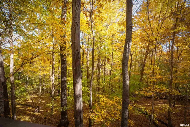 $365,000 | 4648 Highway 127, Carbondale, IL 62903