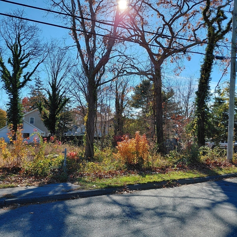 3.5 Golf Street Fairhaven, MA 02719 - Photo 5 of 10 a view of a garden with large tree