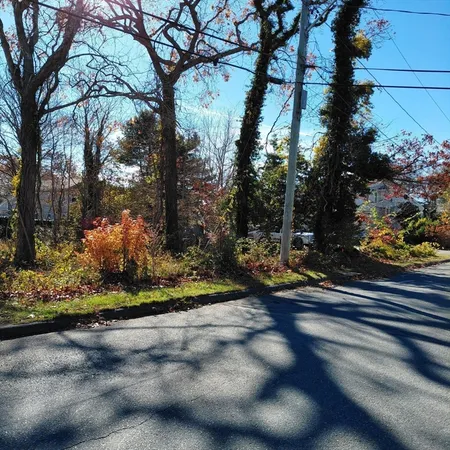 a view of a park next to a road