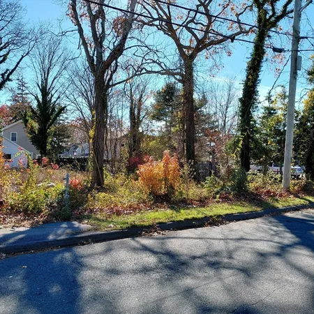 a view of a yard with large trees