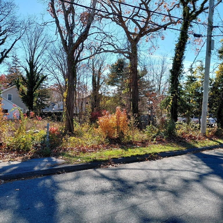 3.5 Golf Street Fairhaven, MA 02719 - Photo 7 of 10 a view of a yard with large trees