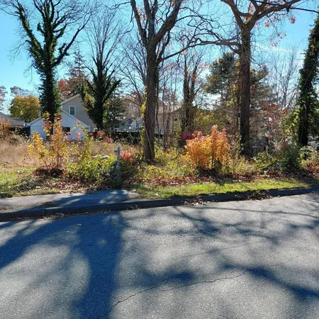 a view of a yard with plants